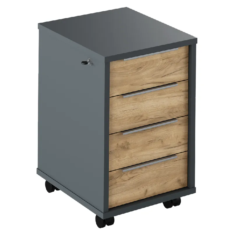 Víkendová Akce Kontejner se zámkem, grafit / dub artisan, RIOMA NEW TYP 30