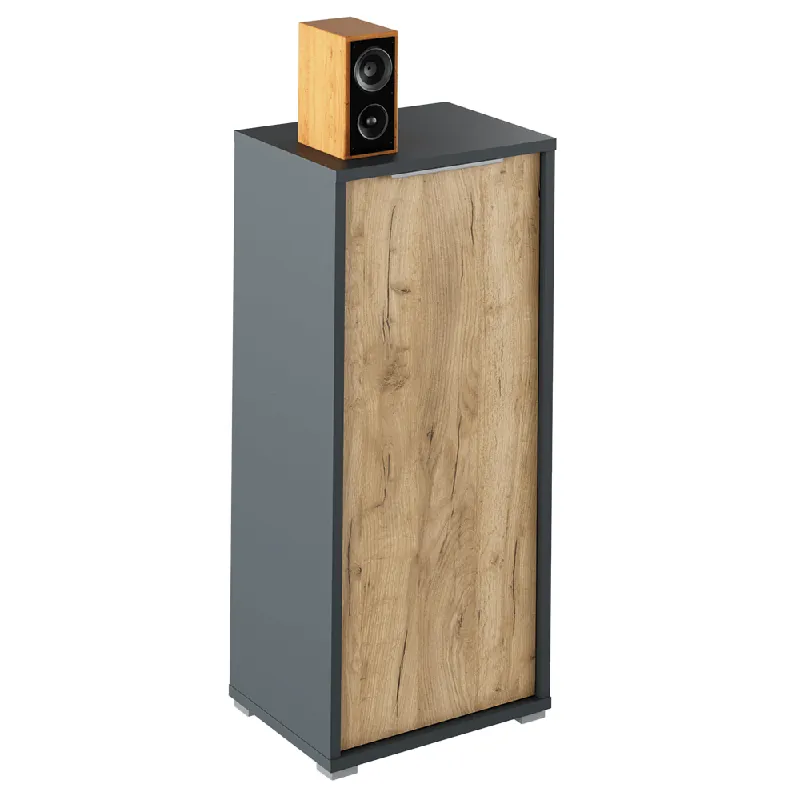 Skříňka, grafit / dub artisan, RIOMA NEW TYP 10 Oblíbený