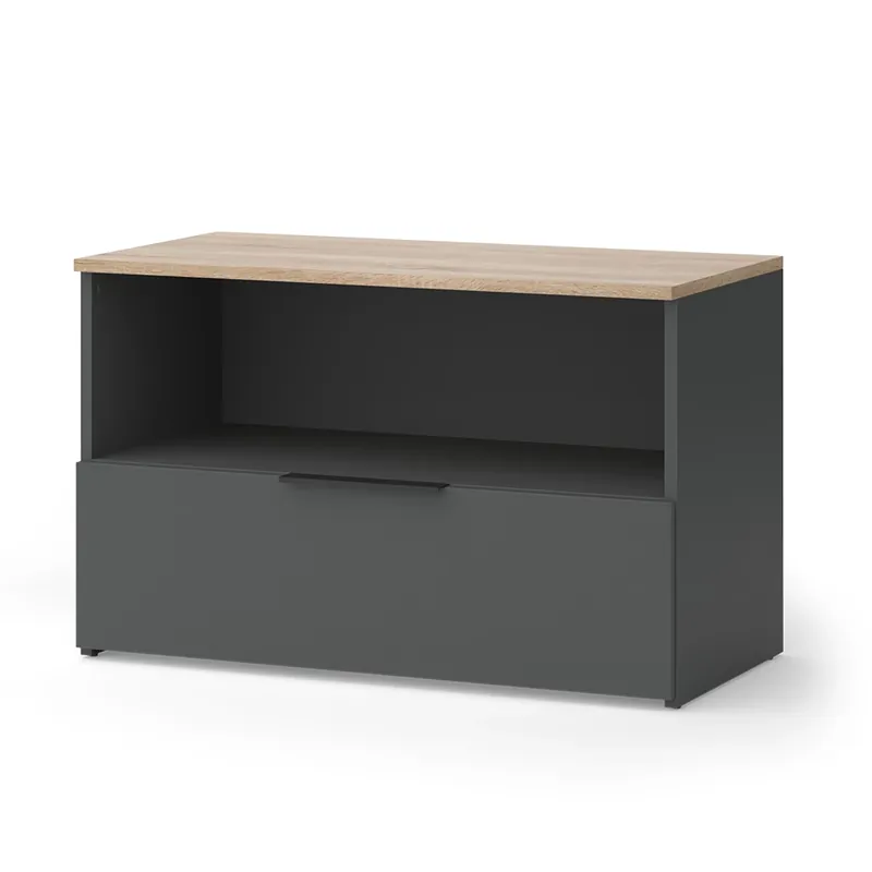 Akční Cena Kredenc Wido Anthracite/Sonoma 80 x 50 cm s 1 uzavřenou přihrádkou Vicco