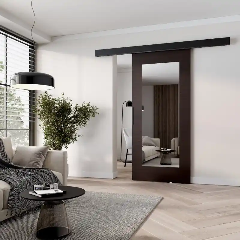 Must-Have Posuvné dveře se zrcadlem BARRET 19 - 96 cm, wenge / černé